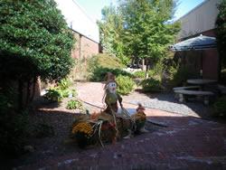 Courtyard Picture 