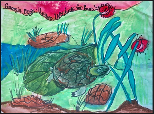 Students Place in Wildlife Conservation Poster Contest 